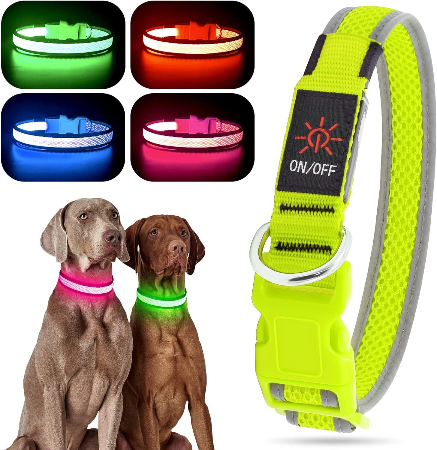 Night dog collar best sale